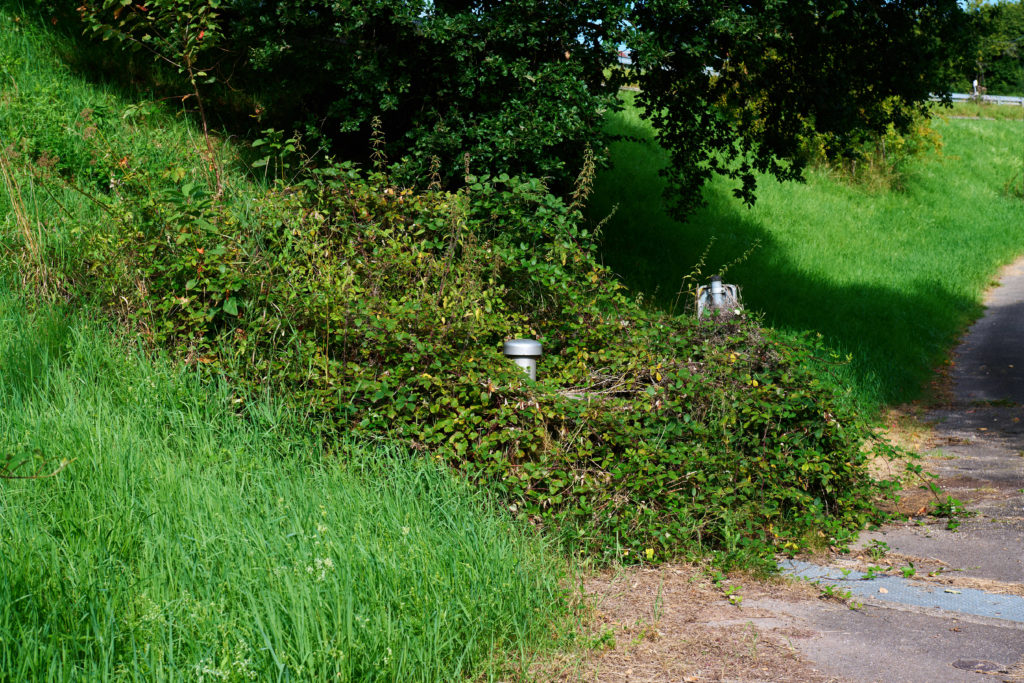 Der Zugang zum Kontrollschacht ist nur noch zu erahnen