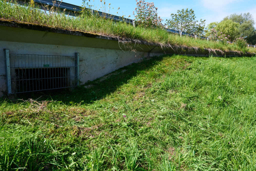 Nach dem Arbeitseinsatz ist der Tunnel und die Leiteinrichtung wieder als solche zu erkennen.