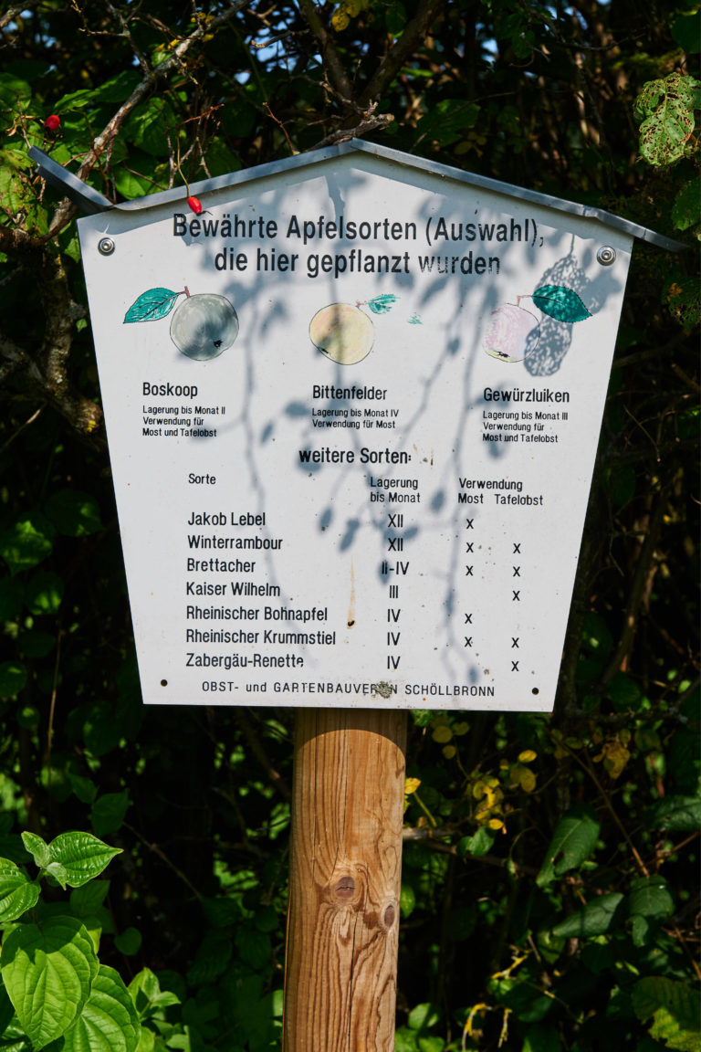 Infotafel zu Apfelsorten bei der Benjeshecke