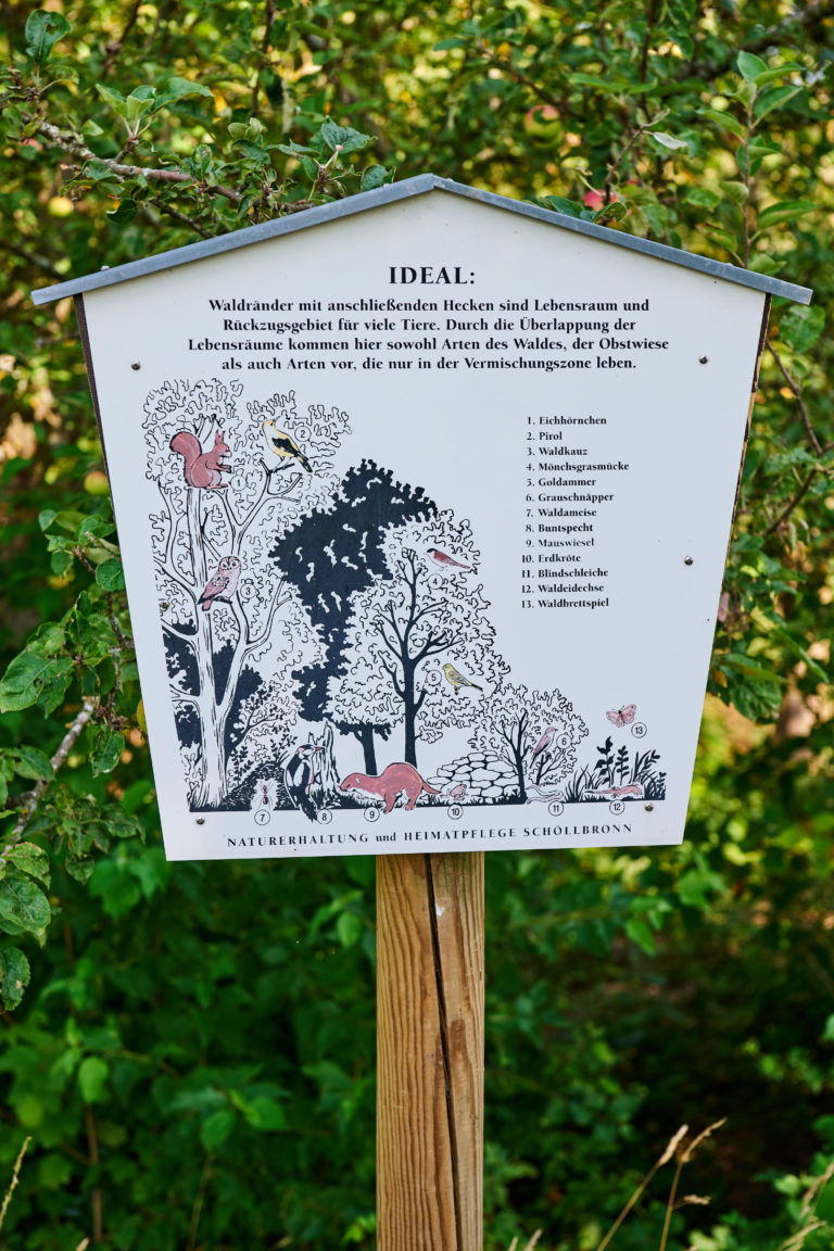 Infotafel zu Lebensraum Benjeshecke