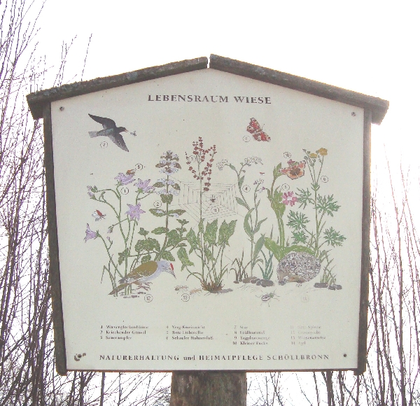 Infotafel mit der Beschreibung des Lebensraums Wiese