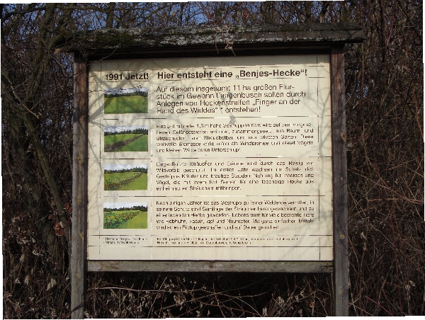 Infotafel zur Benjeshecke aus dem Jahre 1991