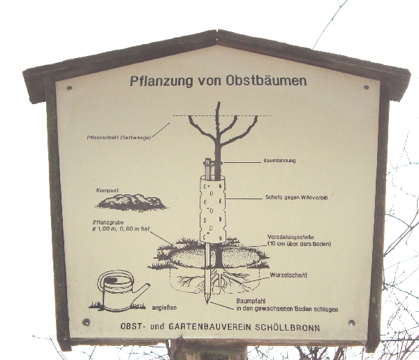 Infotafel mit Hinweisen zur Pflanzung von Obstbäumen