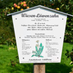 Benjeshecke_-20250815_101744_3055-150x150