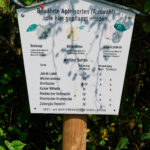 Benjeshecke_-20250815_101826_3056-150x150