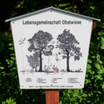 Benjeshecke_-20250815_102307_3059-150x150