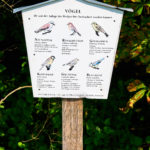 Benjeshecke_-20250815_102417_3060-150x150