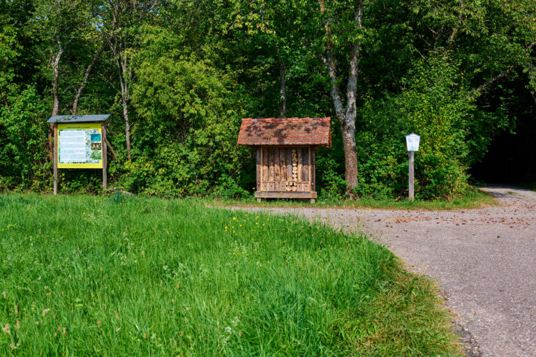 Benjeshecke_-20250815_103326_3070